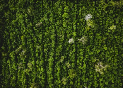 L'impact écologique du meuble : enjeux et solutions