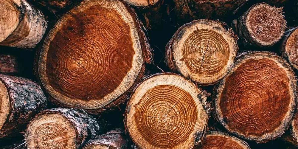 Rondins de bois massif